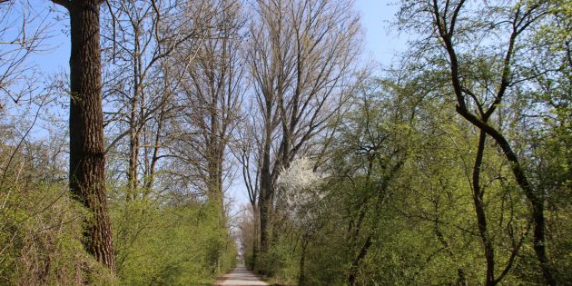 Spazieren mit Abstand und die Natur genießen