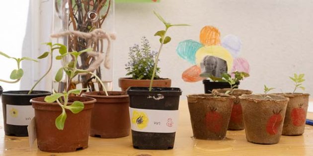 Viele Kinder haben zum gegenseitigen Erkennen auf ihren Gefäßen ihr Symbol aus dem Kindergarten hinterlassen. Foto: oh