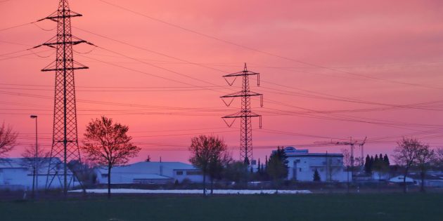 Landwirtschaft braucht weiterhin viele Helfer 