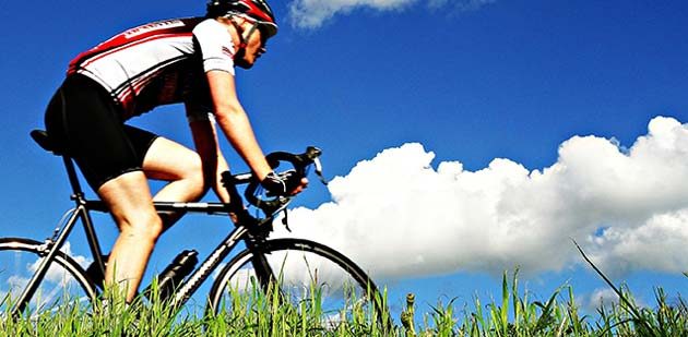 Schon bald können Radfahrer wieder den Radweg zwischen Bürstadt und Lampertheim nutzen. Foto: www.pixabay.com