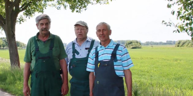„Photovoltaik gehört auf die Dächer“
