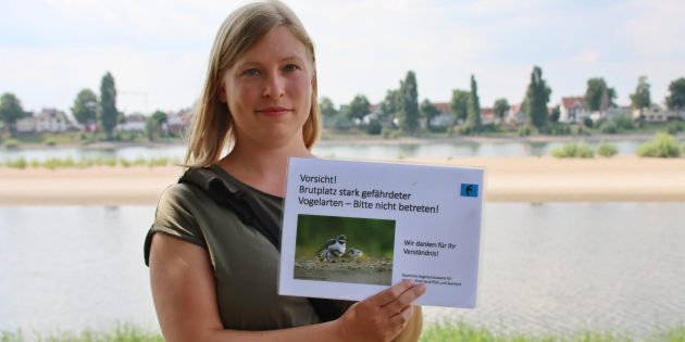 Ein Herz für die Flussregenpfeifer hat Natascha Schütze, die in offizieller Mission am Pressegespräch mit dem Kreisdezernenten Karsten Krug teilnahm. Foto: Hannelore Nowacki