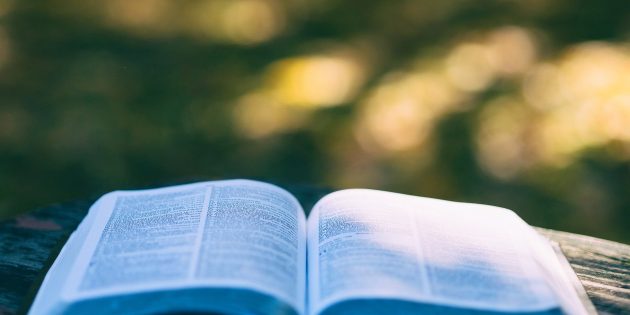 Bücherwürmer können sich freuen