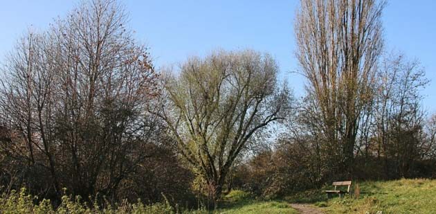 „Biotopzone“. So steht es auf einem Hinweisschild. Ideen zur Aufwertung liegen vor und sollen im Dialog mit der Bevölkerung und benachbarten Einrichtungen der Kinderbetreuung und Bildung diskutiert und weiterentwickelt werden. Archivfoto: Hannelore Nowacki