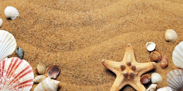 Sicher in den Urlaub