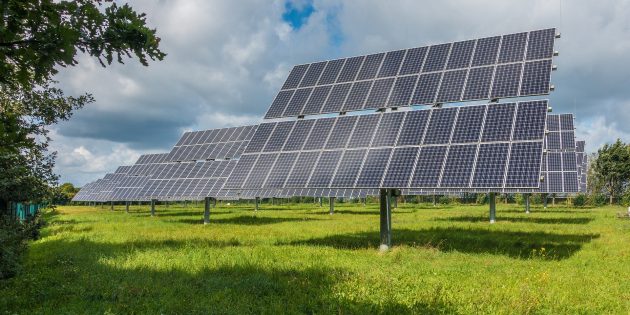 Energieried plant eine Photovoltaikanlage im Bruch in Lampertheim – und erläutert die Beweggründe für diese Maßnahme, die die Wertschöpfung in der Region erhalten soll. Foto: www.pixabay.com