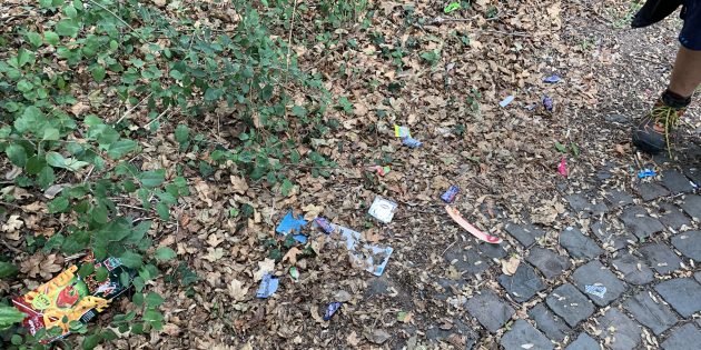 Die illegale Müllentsorgung ist ein stetiges Problem an vielen Stellen der Innenstadt. Bitte entsorgen Sie Ihren Müll richtig! Foto: Stadt Lampertheim
