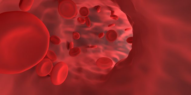 Durch Blutarmut kann eine Luftnot entstehen – vorbeugende Maßnahmen sind daher ebenso wichtig wie die regelmäßige natürliche Zufuhr von Eisen und Vitamin B 12. Foto: www.pixabay.com