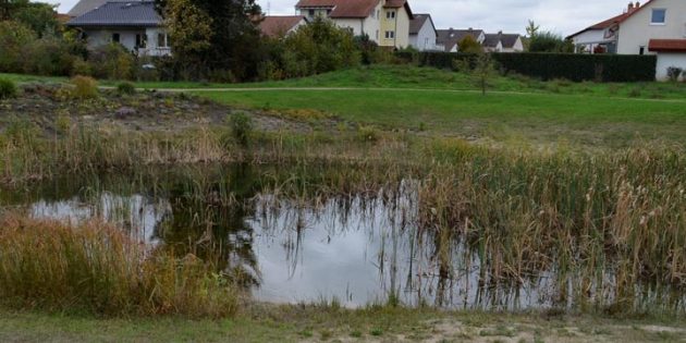 Wo einst die Bundesstraße 44 verlief, ist jetzt ein Feuchtbiotop, das für zahlreiche Tierarrten einen wertvollen Lebensraum darstellt. Ursprünglich sollte der Teich dreimal so groß werden,  was aufgrund der hohen Kosten jeodoch verworfen wurde.