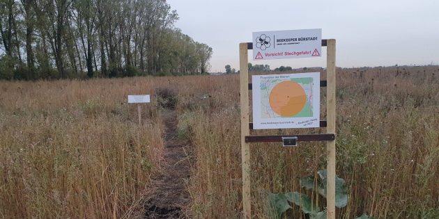 Bienenfreundliches Bürstadt: Im Biotopentwicklungsgebiet in Riedrode steht nun ein Bienenstand, ein weiterer soll folgen. Zudem informiert ein Bienenlehrpfad mit Informationstafeln über das Leben der nützlichen und wichtigen Insekten. Foto: oh