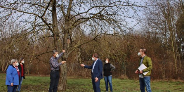 Am stattlichen Kirschbaum hängt ein Nistkasten, die dicken Knospen auf den Kirschzweigen bereiten sich aufs Blühen vor. Im Bild der NABU-Vorstand (von links) mit Gerlinde Korbus (Kassenwartin), Marion Brandner (stellvertretende Vorsitzende), Vorsitzender Michael Held im Gespräch mit dem Kreisbeigeordneten Karsten Krug, Christine Winkler (für die NABU-Jugend zuständig) und Michael Wieder (Untere Naturschutzbehörde). Foto: Hannelore Nowacki