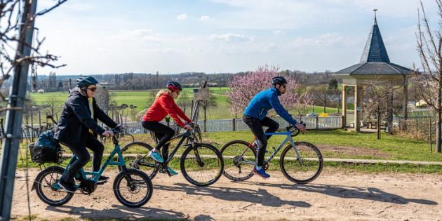 Auf dem Fahrrad lässt sich die aktuelle Mandelblüte ganz besonders intensiv erleben. Foto: TSB