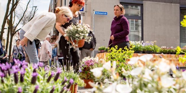 Das Aktionswochenende musste leider abgesagt werden – Blühen wird es in Worms trotzdem. Foto: Bernward Bertram 