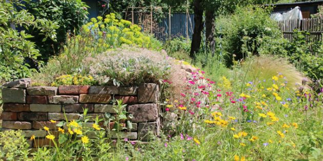 Naturnahe Grünflächen und Gartengestaltung in und um Lampertheim stehen beim diesjährigen Fotowettbewerb des NABU Lampertheim im Blickpunkt. Foto: Eric Neuling