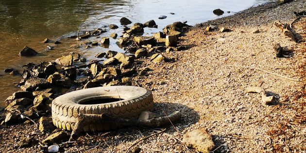 „Müll hat in Natur nichts verloren”