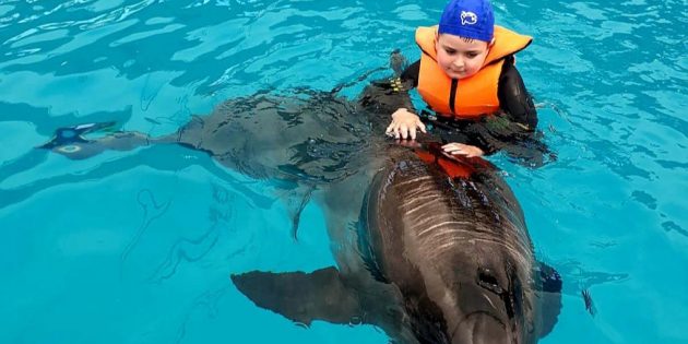 Die Delphintherapie brachte für Vadim erfreulicherweise Fortschritte. Foto: oh