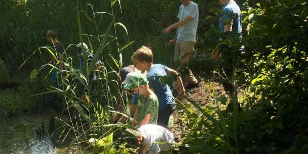 Bei der Kescheraktion des NABU Lampertheim gab es für die Kinder vieles zu entdecken. Foto: NABU – Gabriela Pietraß