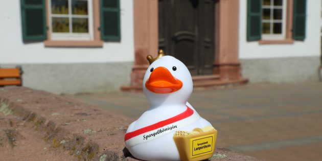Ab Mittwoch kann online über den Namen der Lampertheimer Spargelente abgestimmt werden. Foto: Stadt Lampertheim