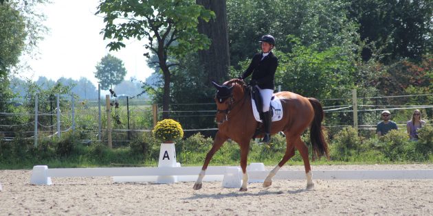 Die Resonanz auf das Dressurturnier des Reitvereins Lampertheim war hervorragend. Für die Zuschauer war einiges geboten. Foto: Eva Wiegand