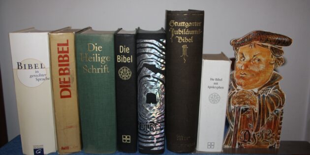 Die Bibel ist nicht das einzige, aber das wichtigste Buch, das Theologiestudierende in die Hand nehmen. Foto: oh