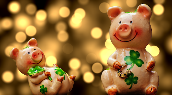 Foto: pixabay.com