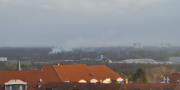 Foto: Presseagentur Die Knipser