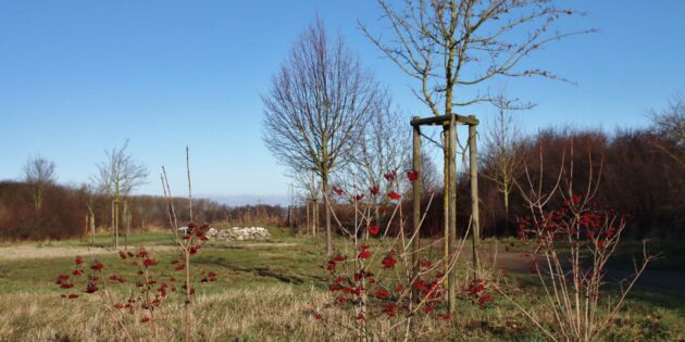 Winterliche Idylle in der Chausseeallee. Foto: Hannelore Nowacki