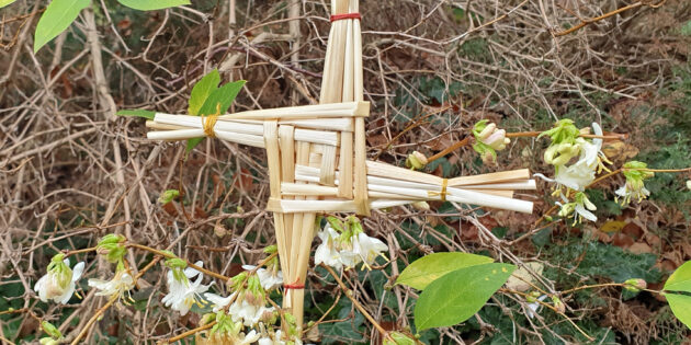 Das Brigid-Kreuz, im Hintergrund eine Winter-Heckenkirsche. Foto: Andrea Hartkorn