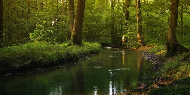 Gutachten zur Belastungssituation im Hessischen Ried liegt vor