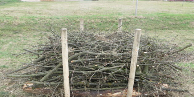 Für Zauneidechsen wurde in der Siedlerstraße ein naturnaher Unterschlupf errichtet. Foto: oh