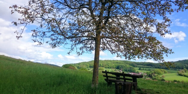 Der Geo-Naturpark Bergstraße-Odenwald kann mit vielen Attraktionen aufwarten – beispielsweise mit seinen wunderschönen Landschaften. Foto: oh