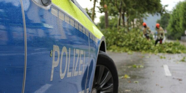 Starkwind bringt Bäume zu Fall