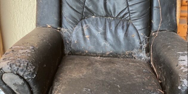 Dieser alte Sessel ist das Müllfundstück des Monats Februar in Lampertheim. Foto: Stadt Lampertheim