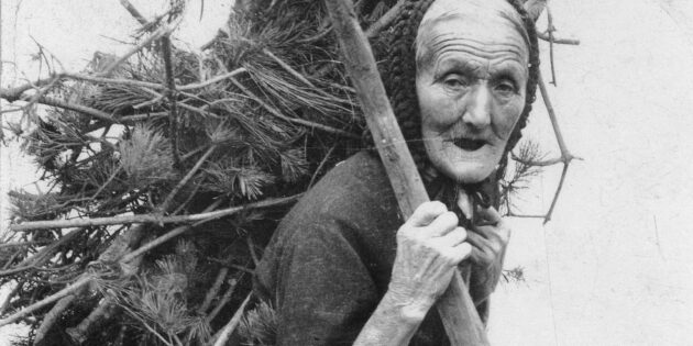 Holz sammeln in den Riedwäldern – Jahrhunderte lang eine notwendige Tätigkeit