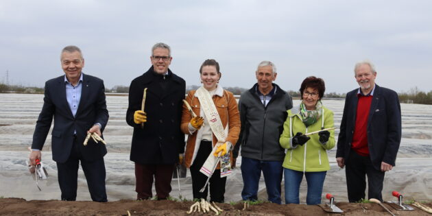 Endlich ist das „weiße Gold” da: Landrat Christian Engelhardt (2.v.l.), Lampertheims Bürgermeister Gottfried Störmer (l.), Bürstadts Bürgermeistern Barbara Schader (2.v.r.) und Sonnenbotschafterin Marie-Luise I.  (3.v.l.) stachen am Donnerstag unter Aufsicht  von Karl-Heinz Schmidt (3.v.r.) die ersten Stangen des königlichen Gemüses. Foto: Benjamin Kloos