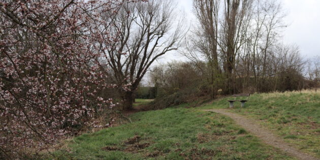 Natur mitten in der Stadt, mit hoher Aufenthaltsqualität für Menschen, Insekten und Kleintiere – dies soll im Biotop im Flur 21/22 in Bürstadt entstehen. Anregungen seitens der Bürgerinnen und Bürger sind erwünscht. Foto: Benjamin Kloos
