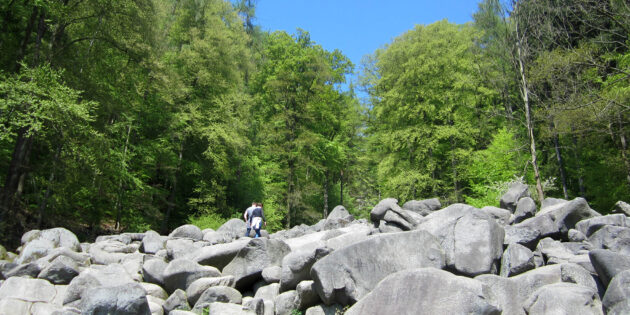 Das Felsenmeer ist eines von Deutschlands schönsten Geotopen. Foto: oh