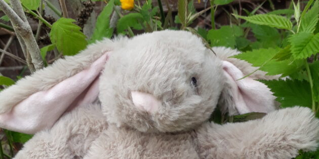 Süßes Stoffhäschen sucht seinen Besitzer