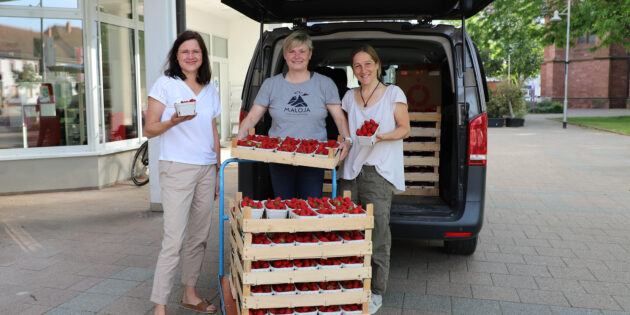 Erfreuten die Lampertheimer Kita-Kinder mit frischen Erdbeeren: Meike Steinert (Stadt Lampertheim), Christiane Hartmann und Heide Korbus (beide Hofgut Christiane Hartmann; v.l.). Foto: oh