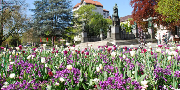 Der Lutherplatz ist nicht nur für Geschichtsinteressierte ein Highlight. Foto: oh