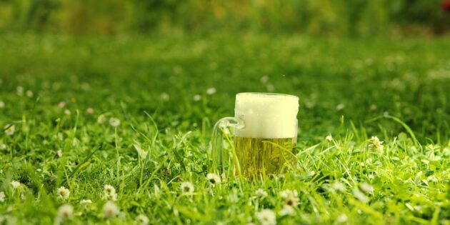 Biergartenambiente im Pfarrgarten von St. Peter 