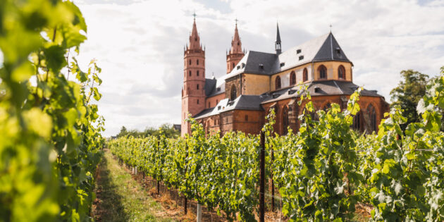 Die gotische Liebfrauenkirche inmitten der berühmten Weinlage „Liebfrauenstift-Kirchenstück“ ist das einzig erhaltene gotische Gotteshaus in Worms. Foto: Tomy Heyduck