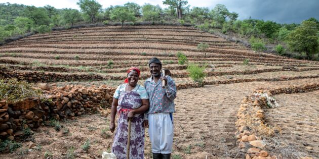Gift Dirani (65) und seine Frau Evelyn (61) leben mit 5 ihrer 11 Kinder und 3 Enkelkindern auf ihrem Hof in Nyanyadzi, Chimanimani an der Ostgrenze Simbabwes. Die Region hat eine schwere Dürre erlebt und ist vom Klimawandel stark betroffen. Dadurch sind die Kleinbauern von großen Verlusten bei der Ernte und dem Viehbestand bedroht.
Foto: Karin Schermbrucker/Brot für die Welt