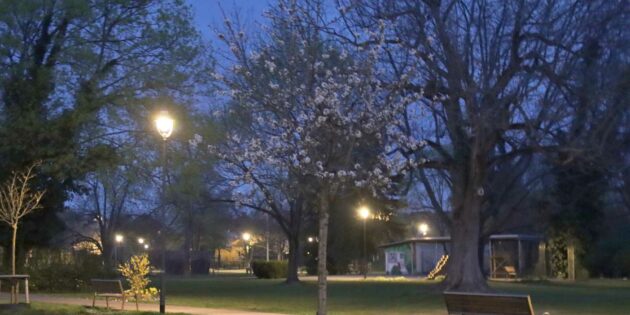 Lampertheim wird Smart City – die bereits installierte Smarte Beleuchtung im Stadtpark spart Energie und erhellt die Umgebung nach Bedarf. Archivfoto: Hannelore Nowacki