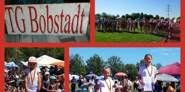 Die Teilnehmer der TG Bobstadt zeigten beim Bergsträßer Turnfest ihr Können. Foto: oh