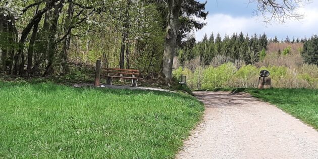 Skulpturen am Wegesrand, die Natur rund herum – wer den Wald-Michelbacher Kunstweg entlang geht, hat viel zu bestaunen. Foto: oh