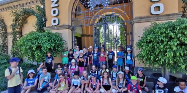Für die Kinder der Ferienbetreuung der Schillerschule Lampertheim ging es gemeinsam mit  der Gruppe der Schülerbetreuung des Verein Lernmobil e.V. der Pestalozzischule und Kindern der Goetheschule mit dem Bus in den Heidelberger Zoo. Foto: oh