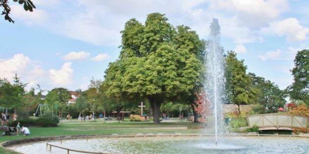 Spielen, bewegen und entspannen – alles ist im Stadtpark möglich. Allerdings ist der Teich kein Planschbecken für Kinder. Foto: Hannelore Nowacki