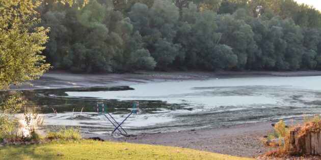 Kein Wassersport im Altrhein möglich – beim WSV Lampertheim stehen die Kanupolo-Tore im Kies. Foto: Hannelore Nowacki