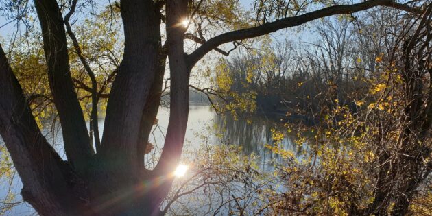 Poetischer Streifzug durchs herbstliche Naturschutzgebiet